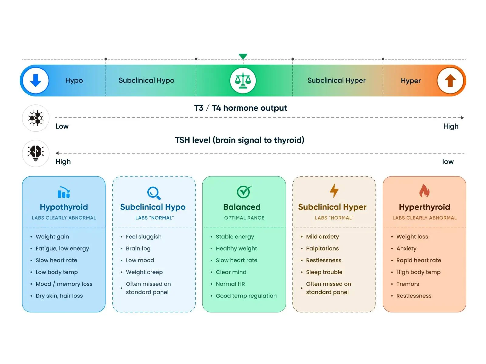 Thyroid function spectrum from hypothyroid to hyperthyroid